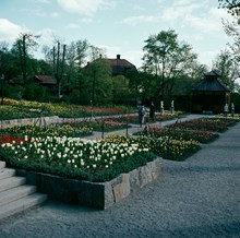 Skansen; planteringar vid Sagaliden. Vy åt söder. Swedenborgs lusthus närmast i fonden