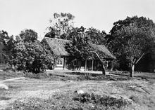 Fruängens gård. Exteriör med omgivande träd