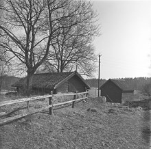 Uthus i Akalla by