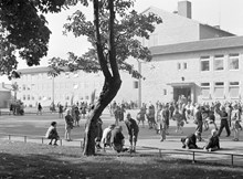Gubbängens Folkskola. Barn på skolgården