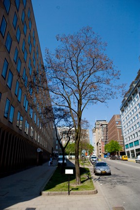 Selma Lagerlöfs litterära skylt på Malmskillnadsgatan.