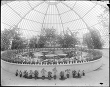 Interiör från Viktoriaväxthuset i Bergianska Trädgården, Frescati. Victoria regia