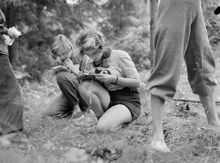 Svenska Dagbladets orientering för skolflickor