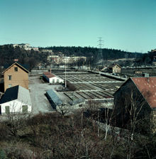 Bergianska trädgården österut mot Ekhagen