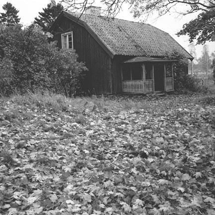 Mangårdsbyggnad