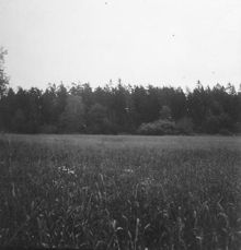 Den bortgrävda bronsåldersboplatsen Spånga 135:1 i Akalla.
