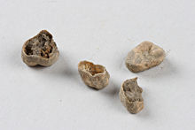 Tänder (Ben), arkeologiskt fynd nummer 78, anläggning nummer 9  i fornlämning RAÄ 143, Spånga socken