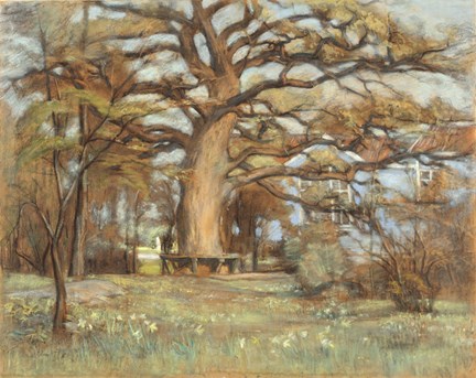 Teckningen föreställer den gamla trädgårdseken framför Sommarsalongen på Waldemarsudde 1902.