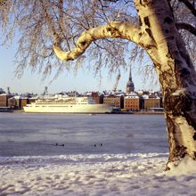 Vy över Skeppsbron och Saltsjön med Sveabolagets passagerarfartyg Svea Jarl.