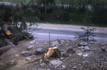 Brandgrav, anläggning nummer 53, fornlämning RAÄ 143 i Spånga socken