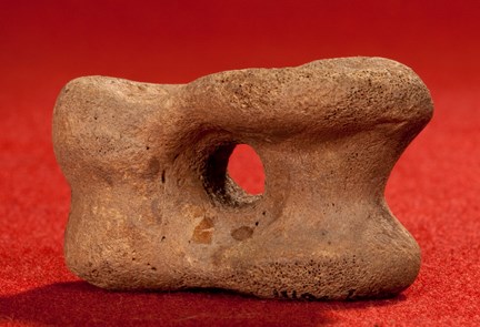Astragal, medeltida Kasta gris