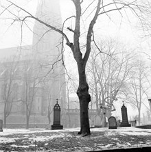 Johannes kyrkogård sedd mot Johannes kyrka