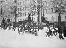 Snöplogning efter häst på Narvavägen