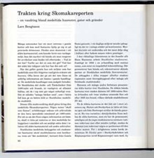 Trakten kring Skomakareporten - en vandring bland medeltida husrester, gator och gränder  / Lars Bengtsson