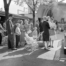 Besökare på Gröna Lund