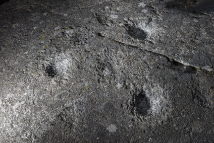 Tre skålgropar i Högalidsparken. Tillhör fornlämning L2015:7090, RAÄ Stockholm 195:1. Fotograf: Mattias Ek, Stadsmuseet.  - FOTOGRAF: Ek, Mattias. 