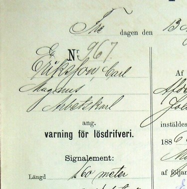 En bild från polisförhöret, ett ifyllt tryckt formulär.