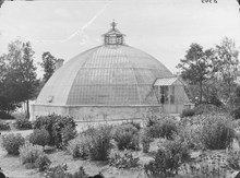 Bergianska trädgården, växthus