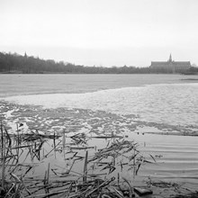Utsikt från Källhagen mot Djurgården. Nordiska Museet i fonden
