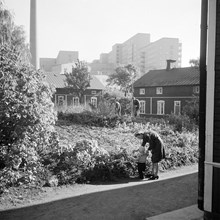 Arbetarbostäder vid Tanto Sockerbruk