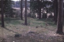 En rund brandgrav på brons- och järnåldersgravfältet Spånga 135:1 i Akalla.