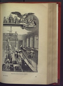 Bland vetenskapsmän / Claës Lundin