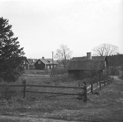 Gårdsmiljö
