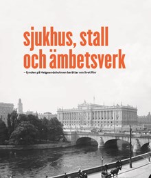 Sjukhus, stall och ämbetsverk : fynden på Helgeandsholmen berättar om livet förr / text: Lin Annerbäck