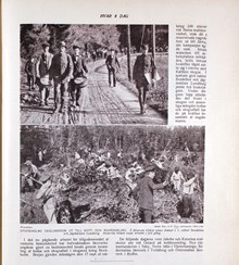 "Stockholms skolungdom ut till kott- och risinsamling" 1917