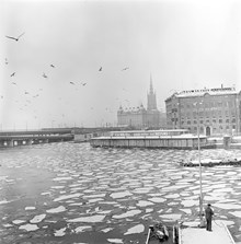 Vy över Riddarfjärdens is mot Kornhamnstorg och Gamla Stans tunnelbanestation. Saluhall och telefonkiosk. Flygande måsar
