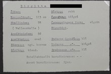 Beskrivning av 5 åriga Birgittas näsa, ansiktsform, hårtyp mm  - skolarbete 1938-1939