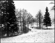 Norra Djurgården vid Husarviken