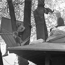 Kungsträdgården, maj 1971. Demonstrationer mot fällningen av almarna