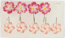 Knappnålsblommor från organisationen Mors blomma