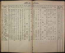 17- åriga Madge Olssons betyg - Anna Sandströms skola 1908