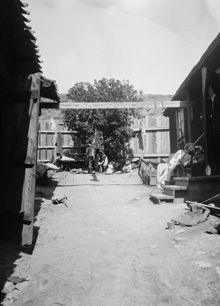 Gården vid Grindsgatan 5. Nuv. Helgagatan och kv. Metern