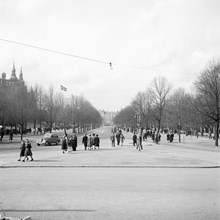 Djurgårdsvägen norrut. Lejonslätten t.h. och Nordiska Museet t.v