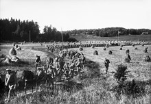 Järvafältet. Fältmanöver