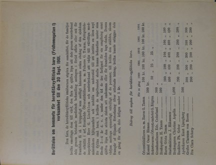 Lilla Hemmets årsberättelse 1901