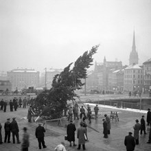 Resning av julgranen vid Slussen