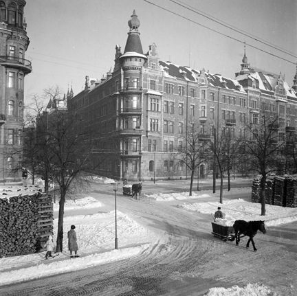 Gathörn sett snett ovanifrån. Snö och vedstapel.