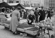 Torghandel med försäljning av lingon på Kornhamnstorg