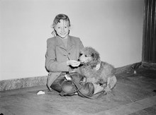 Kungsgatan 18, Kungshallen. Monica Wedholm med sin prisbelönta pudel Silvo, vid Svenska pudelklubbens utställning