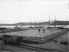 Upplag med tusentals silltunnor vid Värtahamnen. I fonden Villa Foresta.