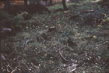 Stensättning, anläggning nummer 6, fornlämning RAÄ 143 i Spånga socken