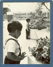 Ur Stockholms historia 1863-1963 / utgiven av Stadskollegiets reklamkommitté