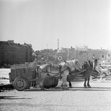 Renhållningen vid Strandvägen