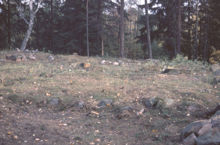 Stensättning, anläggning nummer 15, fornlämning RAÄ 143 i Spånga socken