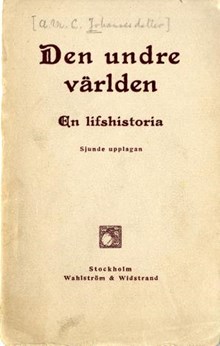 Den undre världen : en lifshistoria / [Anna Johannesdotter]