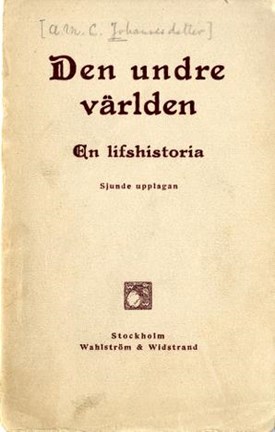 gråbrunt bokomslag med bokens titel